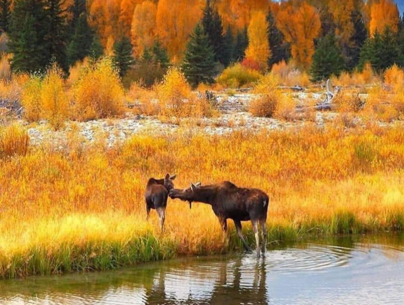 Улаанбаатарт өдөртөө 5 хэм дулаан